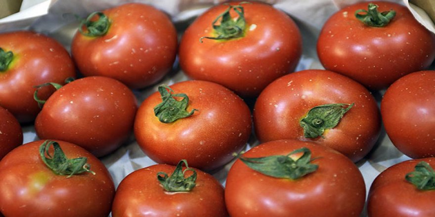 Rusya'ya domates ihracat kotası 50 bin ton artırıldı