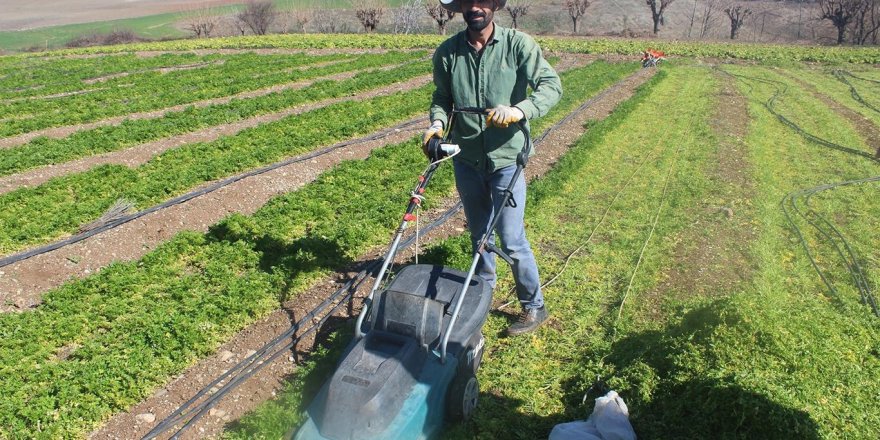 Havaların ısınmasıyla birlikte köylerde tarımsal hareketlilik başladı