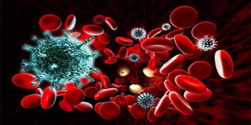 Koronavirüse Karşı bağışıklık sisteminizi güçlendirin!