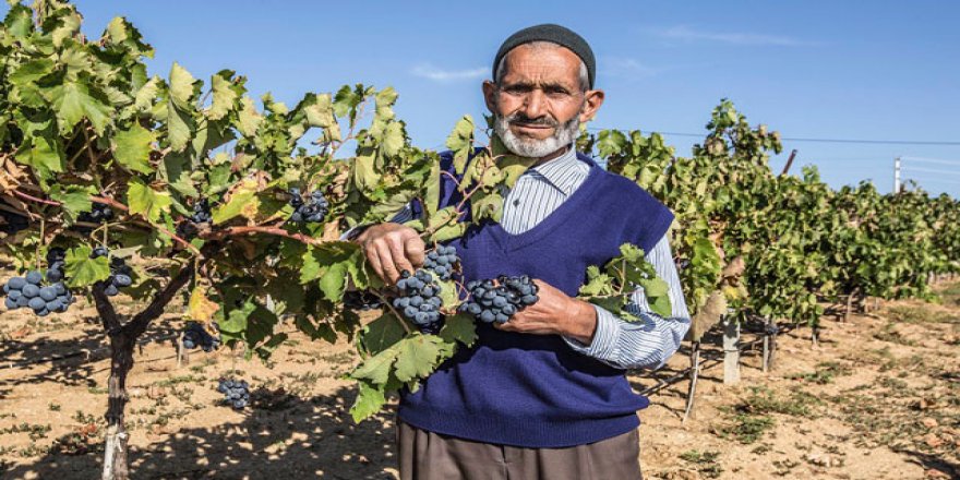 Orman köylüsüne 204 milyon TL destek