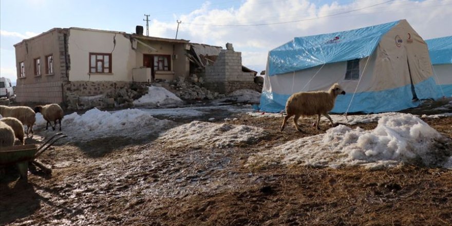 Depremde telef olan hayvanların bedelleri ödenecek