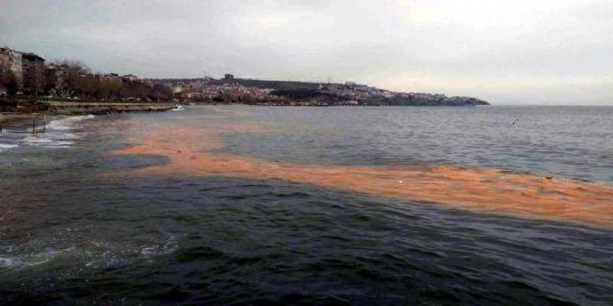 Tekirdağ'da ilginç görüntü: Deniz turuncuya boyandı