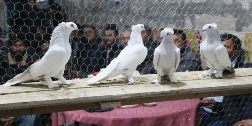 20 TL'ye alıp 40 bin TL'ye satıyorlar!