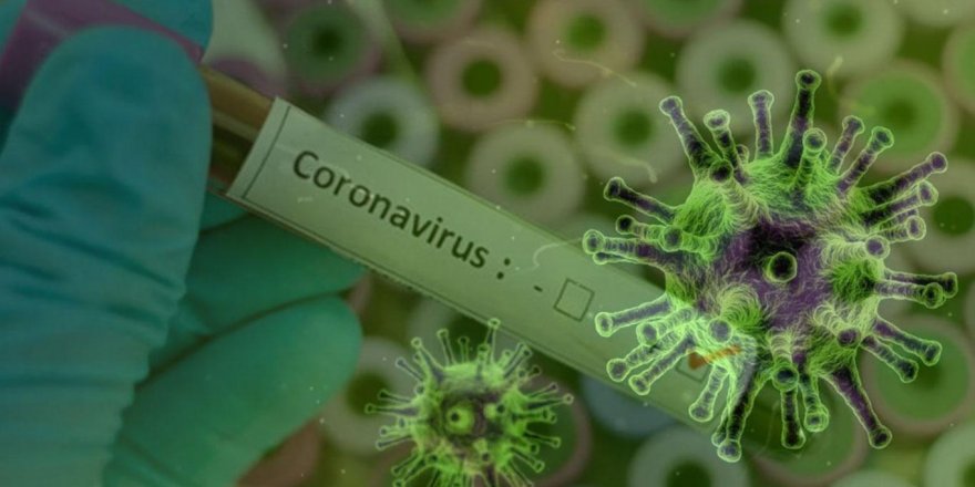 Koronavirüsün en çok yaşadığı sıcaklık derecesi belli oldu