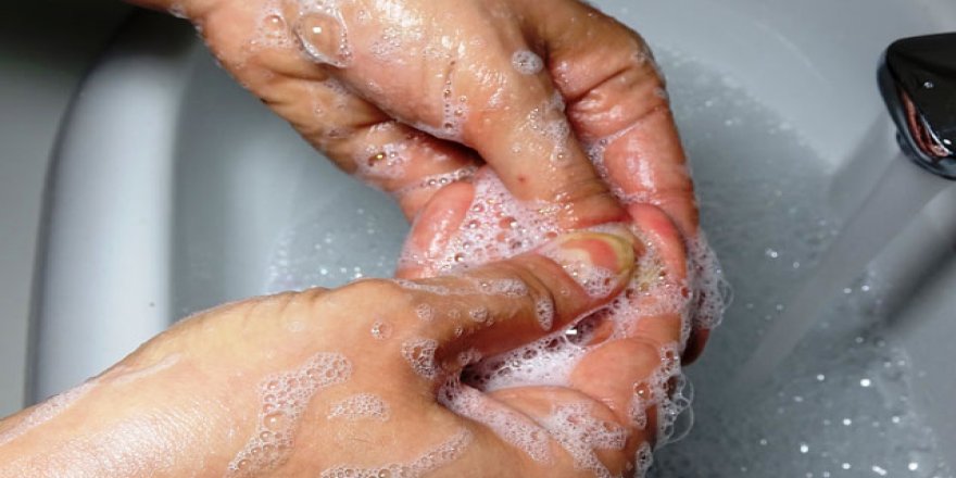 Virüslerin yaşayabilmesi için canlı hücrelere ihtiyaç var