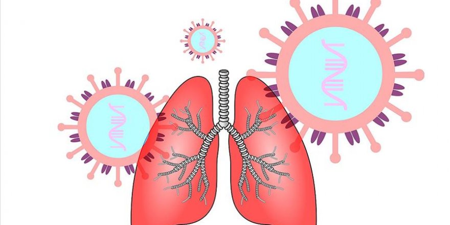 Türk Toraks Derneğinden koronavirüs uyarıları