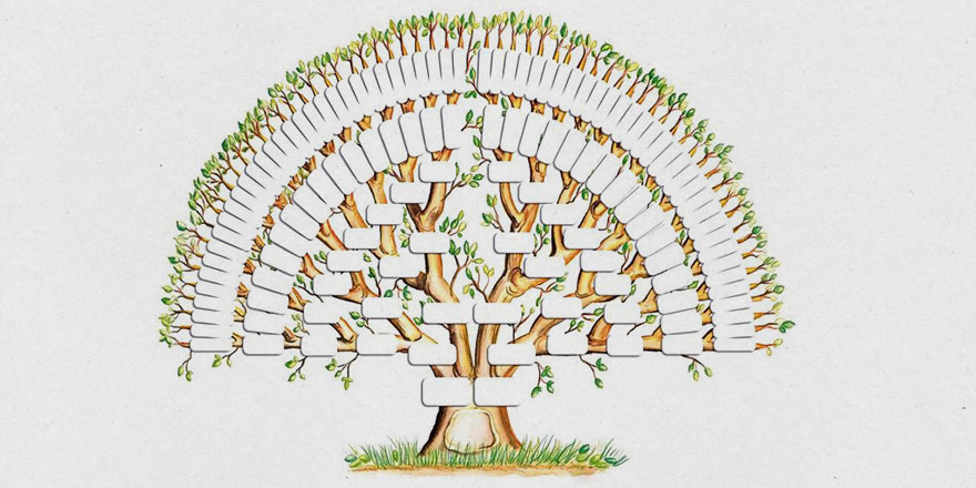 peygamberlerin soy ağacı ve geliş sırası