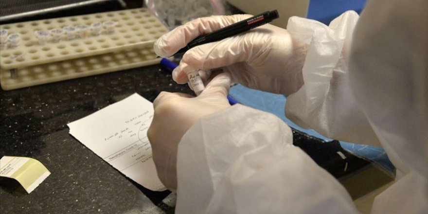 İran'da günde 6 bin kişiye Kovid-19 testi yapılıyor