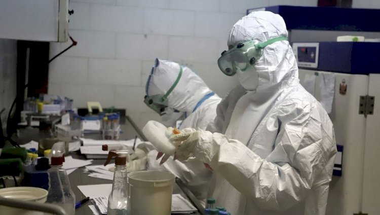 Belçikalı bilim insanları: Koronavirüsü etkisiz hale getirdik