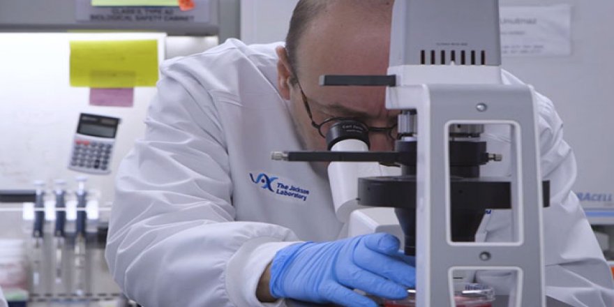 Koronavirüs tedavi ve aşıda çok kısa sürede başarı gösterilecek