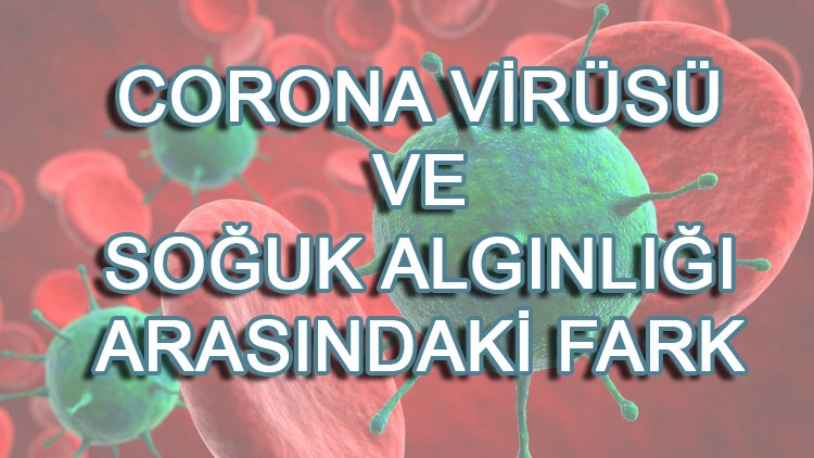 Nezle ve corona virüs arasındaki fark nedir?
