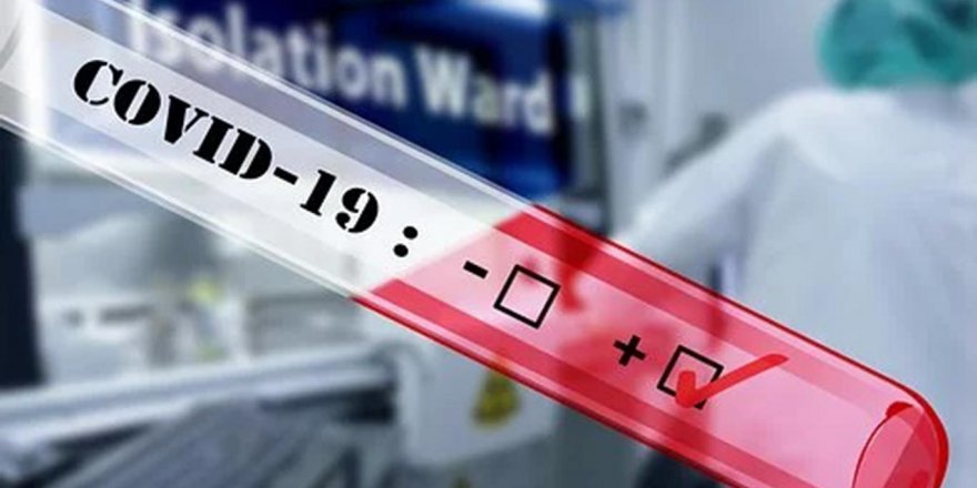 'Koronavirüs kan yoluyla bulaşmaz'