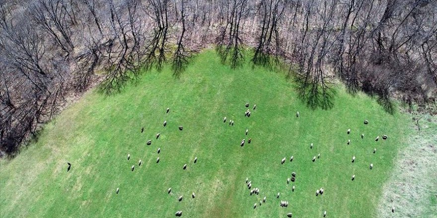 Yıldız Dağları'nda kış ve bahar bir arada