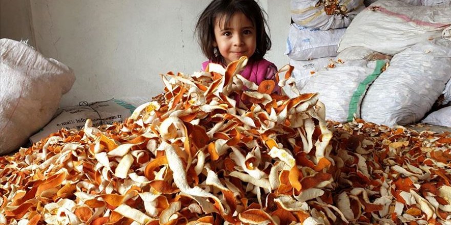 Yılda 300 ton portakal kabuğunu ekonomiye kazandırıyorlar