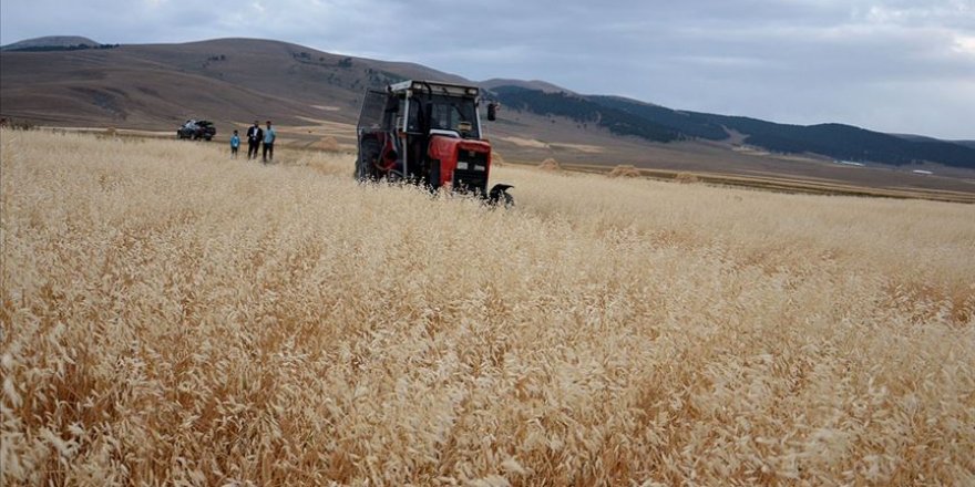 Bitkisel üretim desteklerinin son başvuru tarihleri uzatıldı