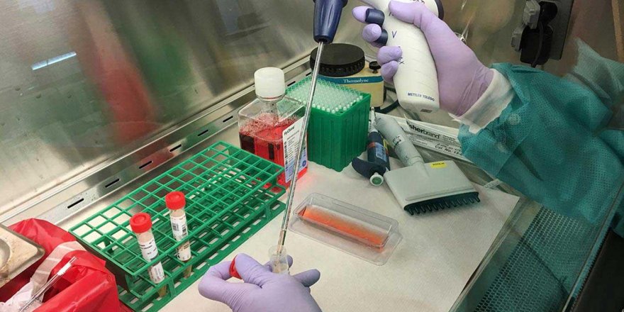 Gazze'deki tüm Corona virüs vakalarının test sonuçları negatif çıktı