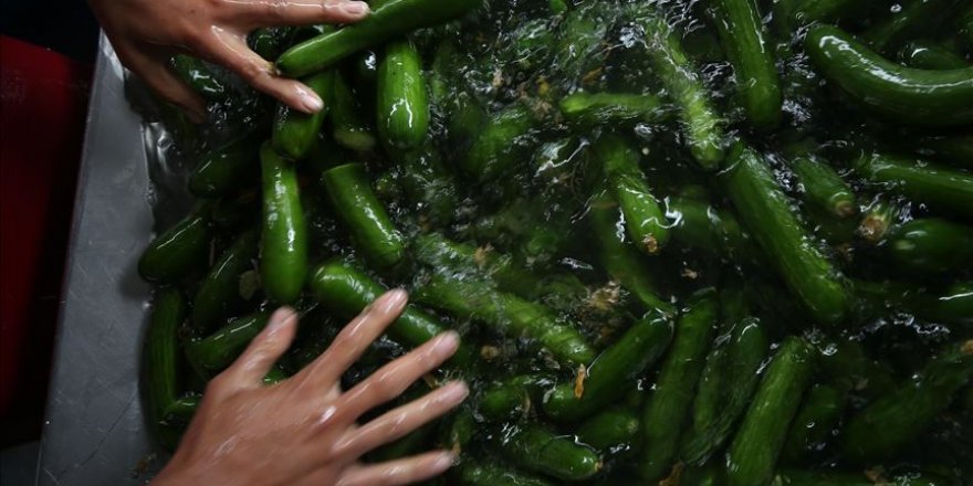 Uzmanından 'sebze ve meyveleri bol suda yıkayın' önerisi