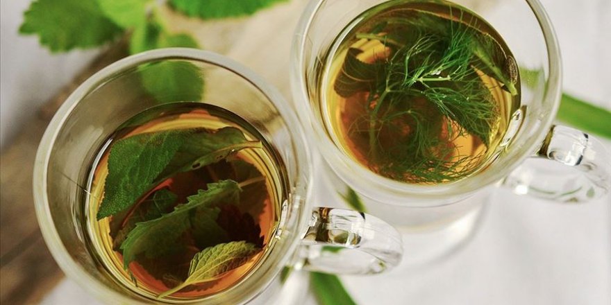 Koronavirüse karşı, yoğun kıvamlı bitki çaylarıyla gargara yapın