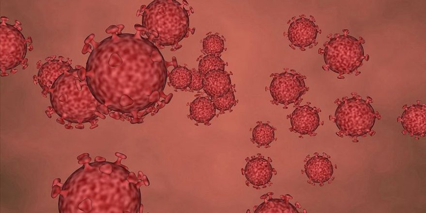 Hastalığın ağır seyretmesinde yaş kadar vücuda giren virüs sayısı da önemli