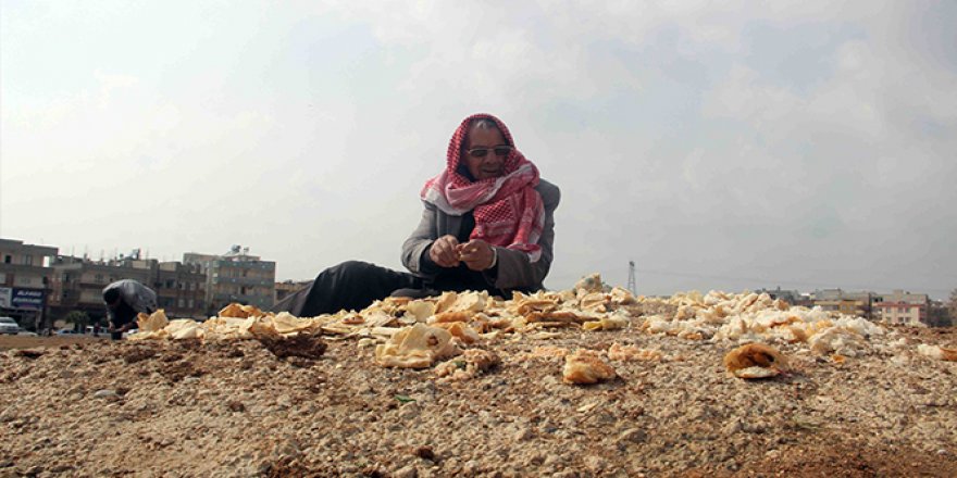 Kuşların babası: 27 yıldır çöpten topladığı ekmeklerle kuşları besliyor