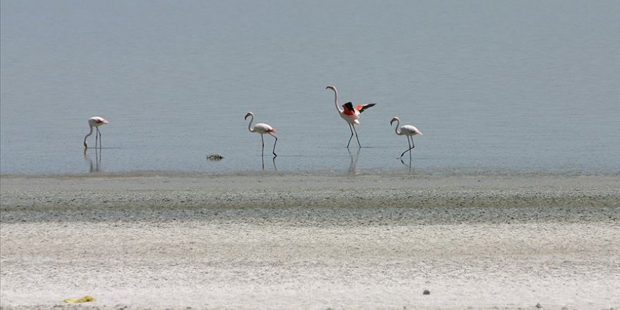 Konya Kapalı Havzası kuraklıkla boğuşuyor