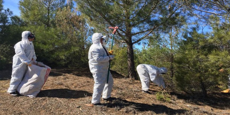 Her yıl 250 bin hektarda 'dumansız yangın' mücadelesi