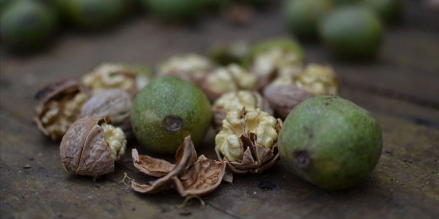 Dalındayken alıcı bulan Oğuzlar cevizine coğrafi işaret
