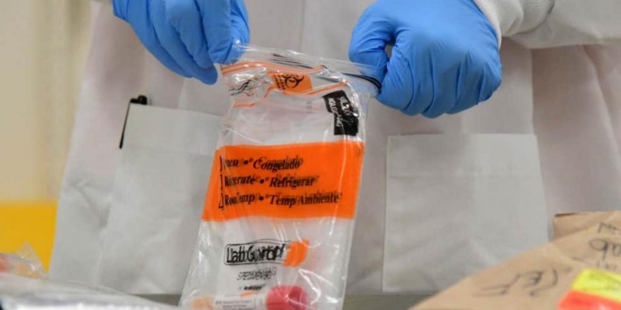 Birleşik Krallık'tan bilim insanları, virüsün gen haritasını çıkarıyor