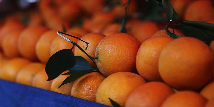 Koronavirüsten korunmak için aşırı tüketilen C vitamini, mesaneye zarar veriyor