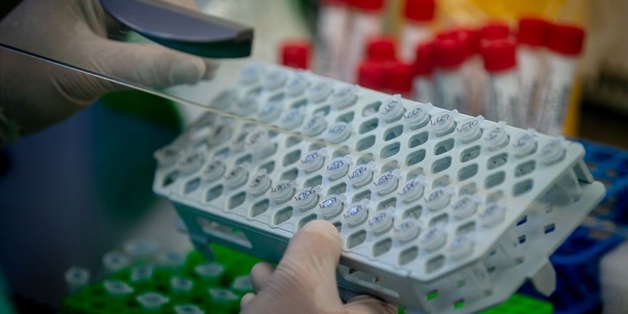 İki farklı Kovid-19 araştırmasına göre hastaların yüzde 40'ı hiç belirti göstermiyor