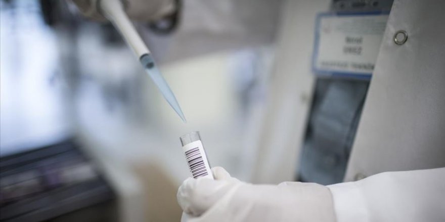 İngiltere'de Kovid-19 antikor testleri yakında satışa sunulacak