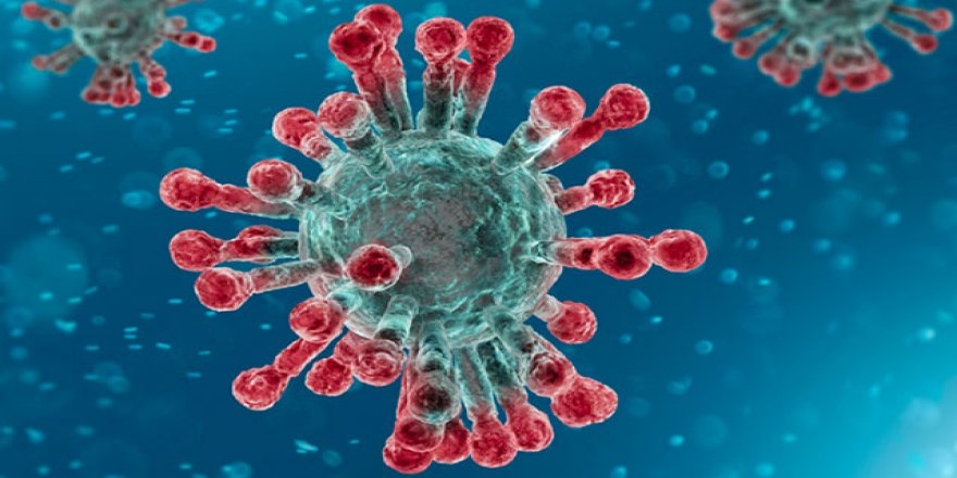 Koronavirüs bir milyondan fazla habere konu oldu