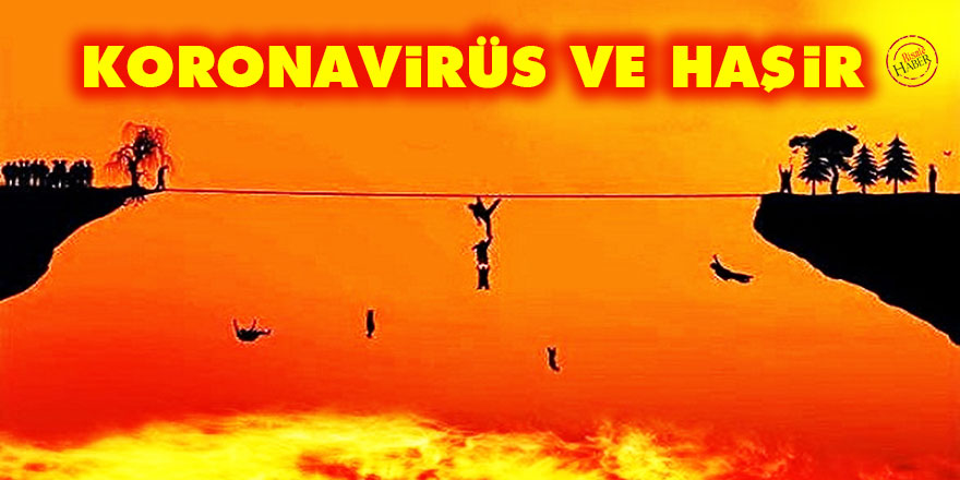 Koronavirüs ve Haşir