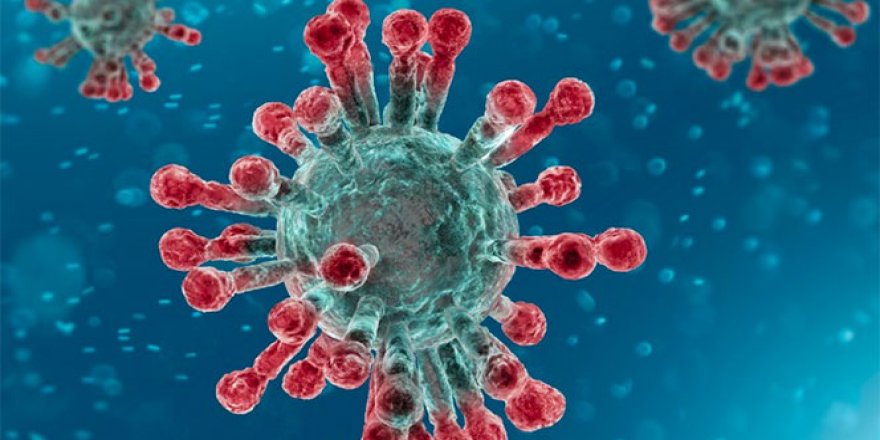 Çin Coronavirus nedeni ile yabancıların ülkeye girişini yasakladı