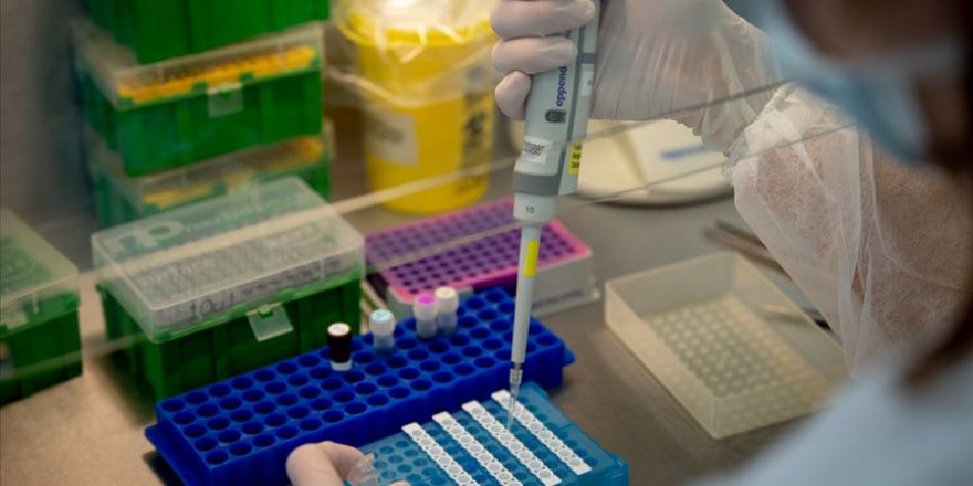 Fransa'da sıtma tedavisinde başvurulan klorokinin Kovid-19'a karşı kullanımına izin