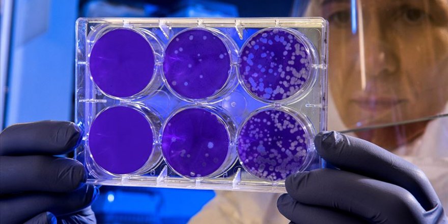 Hantavirüs insandan insana bulaşmıyor