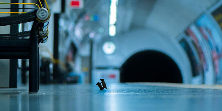 İhlas ile kim ne isterse Allah verir