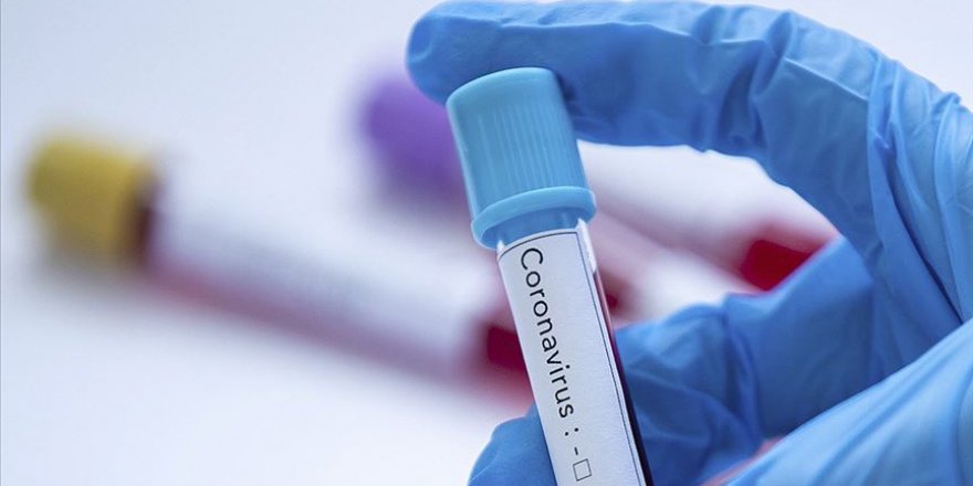 Mikrobiyoloji uzmanlarından koronavirüsle ilgili bilgilendirme için yeni internet sitesi