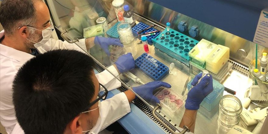 Türk bilim insanları Kovid-19'a karşı yeni nesil ilaç için çalışıyor