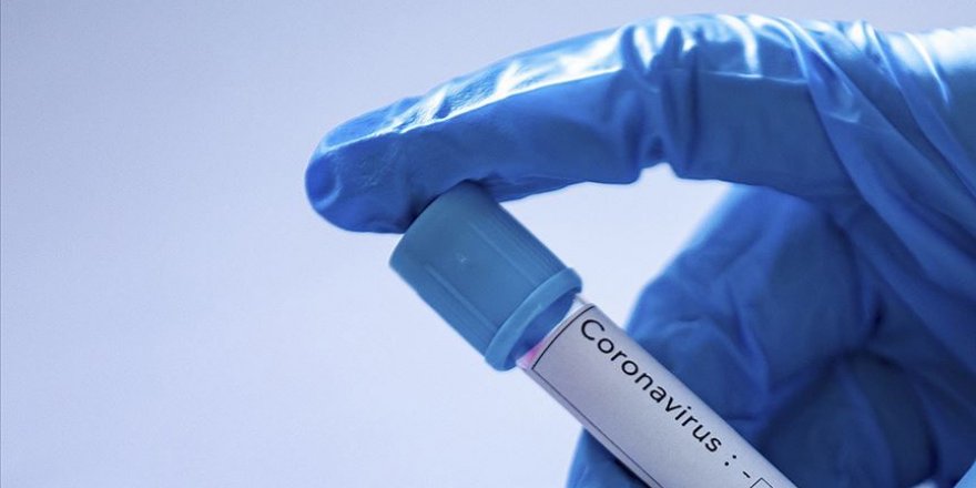 Uzmanlar kalp damar, böbrek ve kanser hastalarını Kovid-19'a karşı uyarıyor