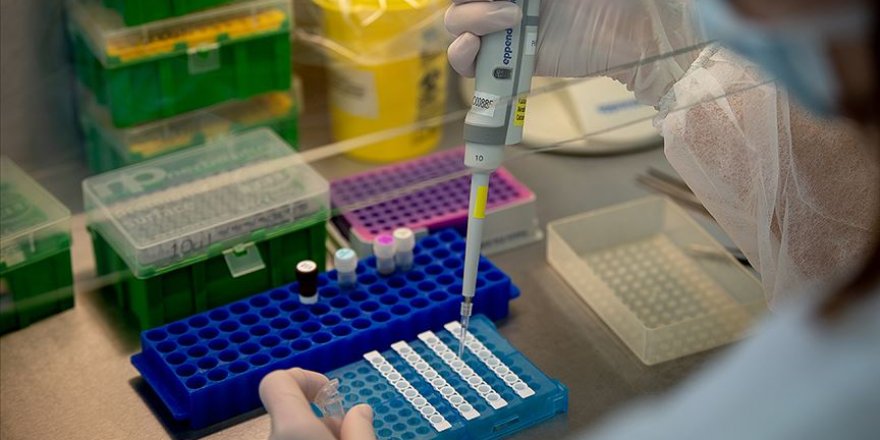 Dünyada Kovid-19'a yönelik 23 aktif kök hücre çalışması devam ediyor