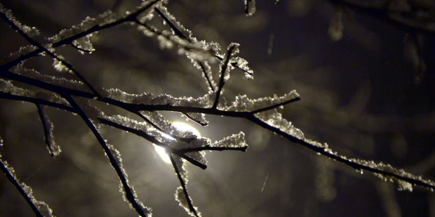 Ardahan gece yağan karla beyaza büründü