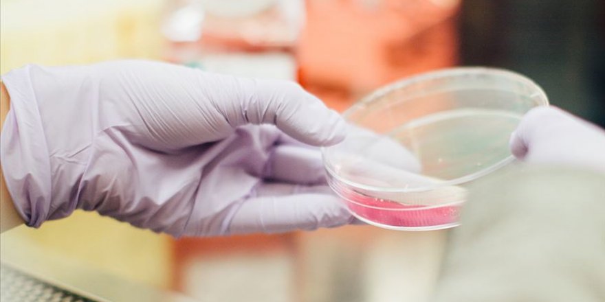 Koronavirüsün laboratuvar kaynaklı olma ihtimali hâlâ geçerli