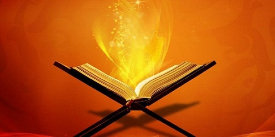 Sizin için hayvanlarda birçok fayda vardır