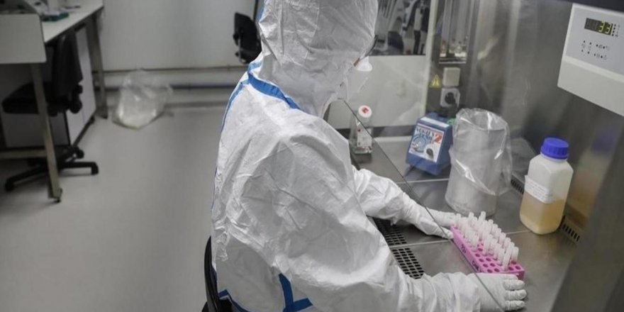 Dünya genelinde Kovid-19'dan iyileşen kişi sayısı 350 bini aştı