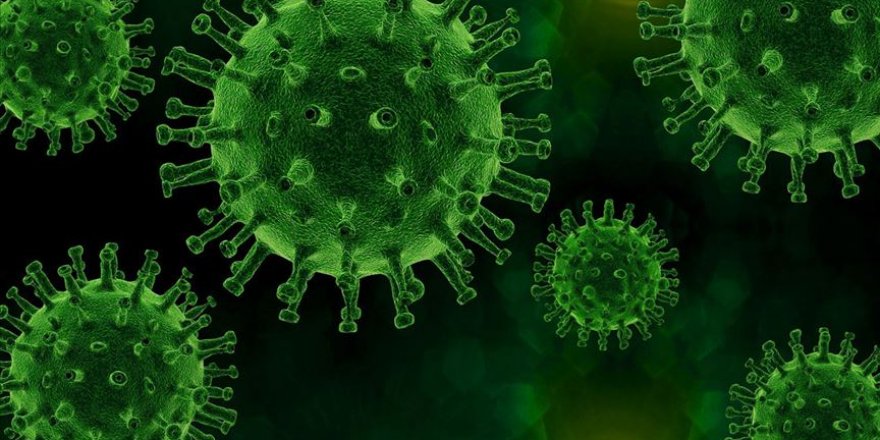 Finlandiyalı araştırmacılar, Kovid-19'un yayılmasını 3D olarak modelledi