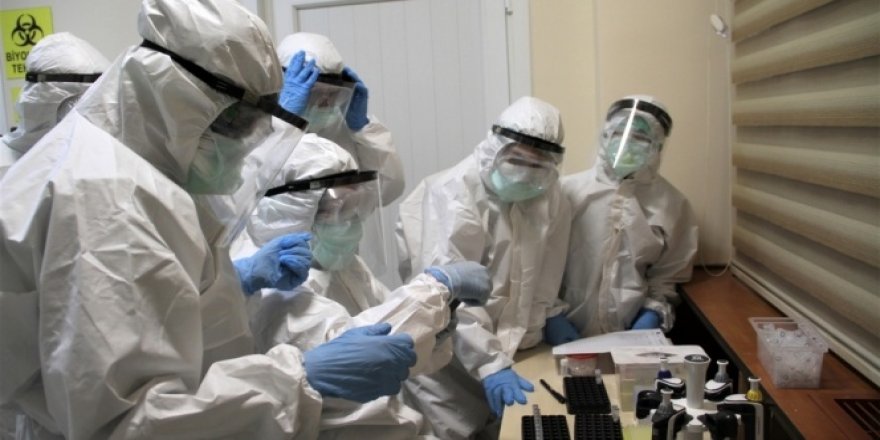 Türkiye'de 4. haftada vaka artış hızı düşüşe geçti