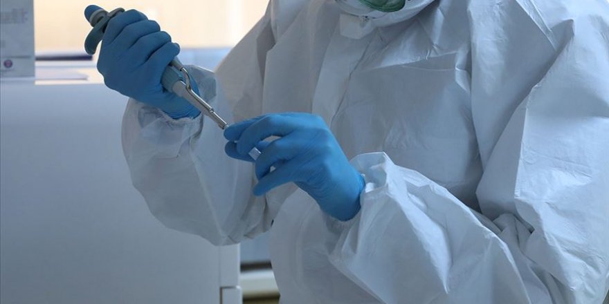 Kovid-19 testlerindeki artışa rağmen vaka ve vefat edenlerin oranı aynı seyrediyor