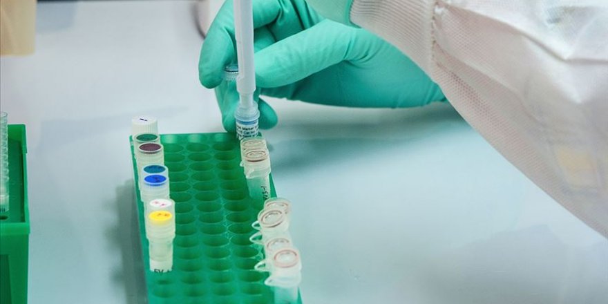 Türk bilim insanları Kovid-19'a karşı başvurulan sıtma ilacı 'klorokin'i sentezledi