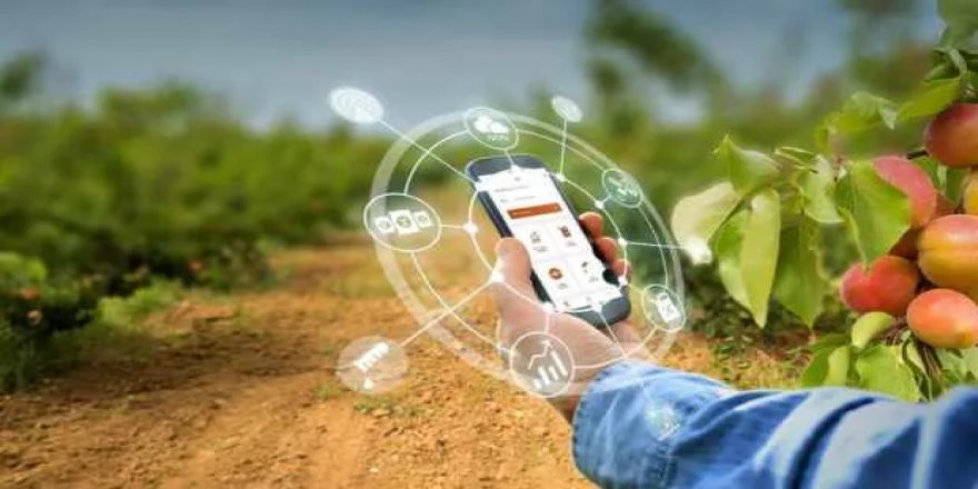 Tarlaya uzaktan erişim sağlayacak